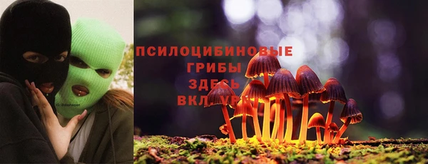 эйфоретик Арсеньев