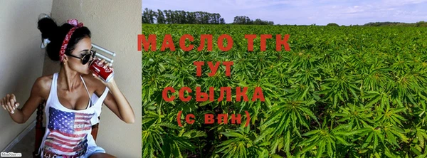 эйфоретик Арсеньев