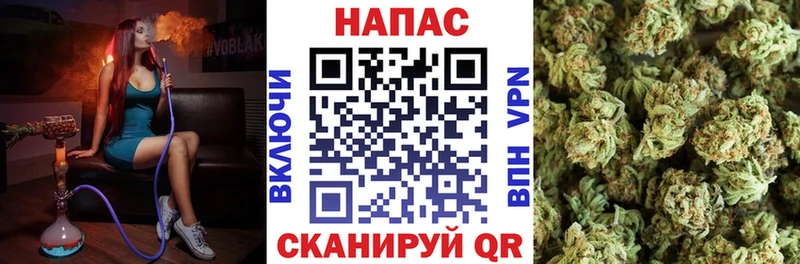 Шишки марихуана SATIVA & INDICA купить сайты Светлый